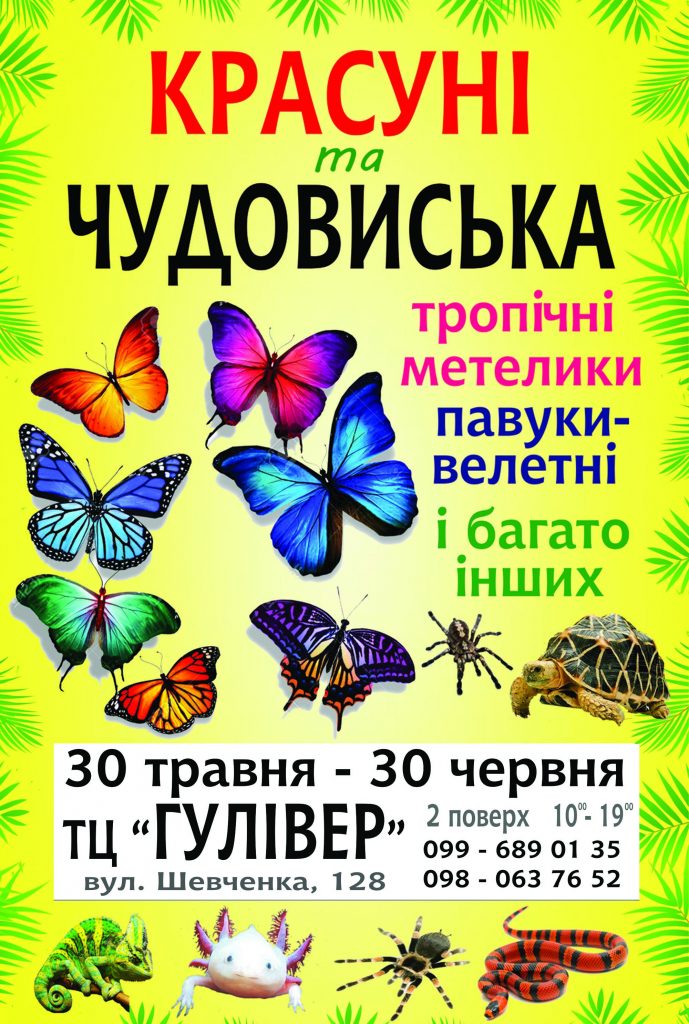 Выставка ‘Красавицы и чудовища’ ТЦ Гулливер